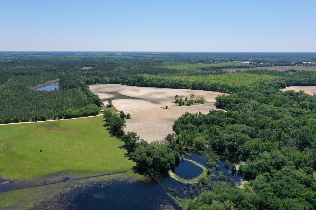 210-ac Jernigan Road Gordon, AL 36343 - Photo 26 of 36