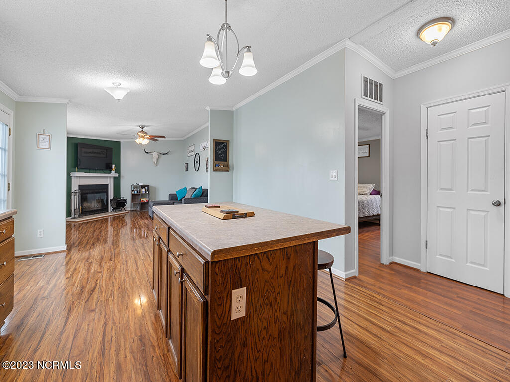 271 Willeyton Road Gates, NC 27937 - Photo 20 of 42 088A5604-2