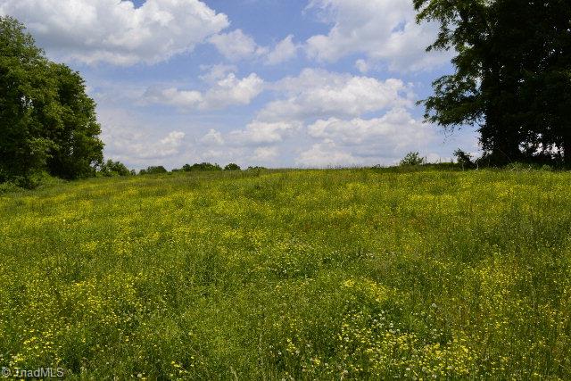 0 Colbert Road Traphill, NC 28685 - Photo 1 of 2 Main View