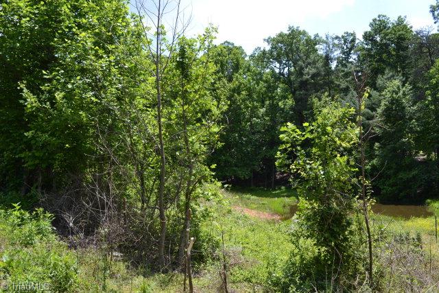 0 Colbert Road Traphill, NC 28685 - Photo 2 of 2 Gallery Image 2