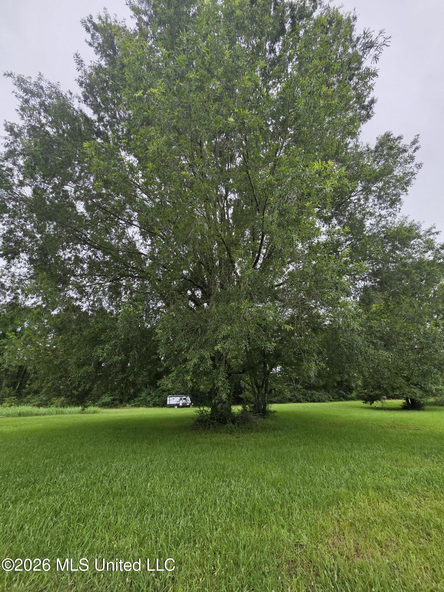244 Foster Road Sontag, MS 39665 - Photo 35 of 105 35433