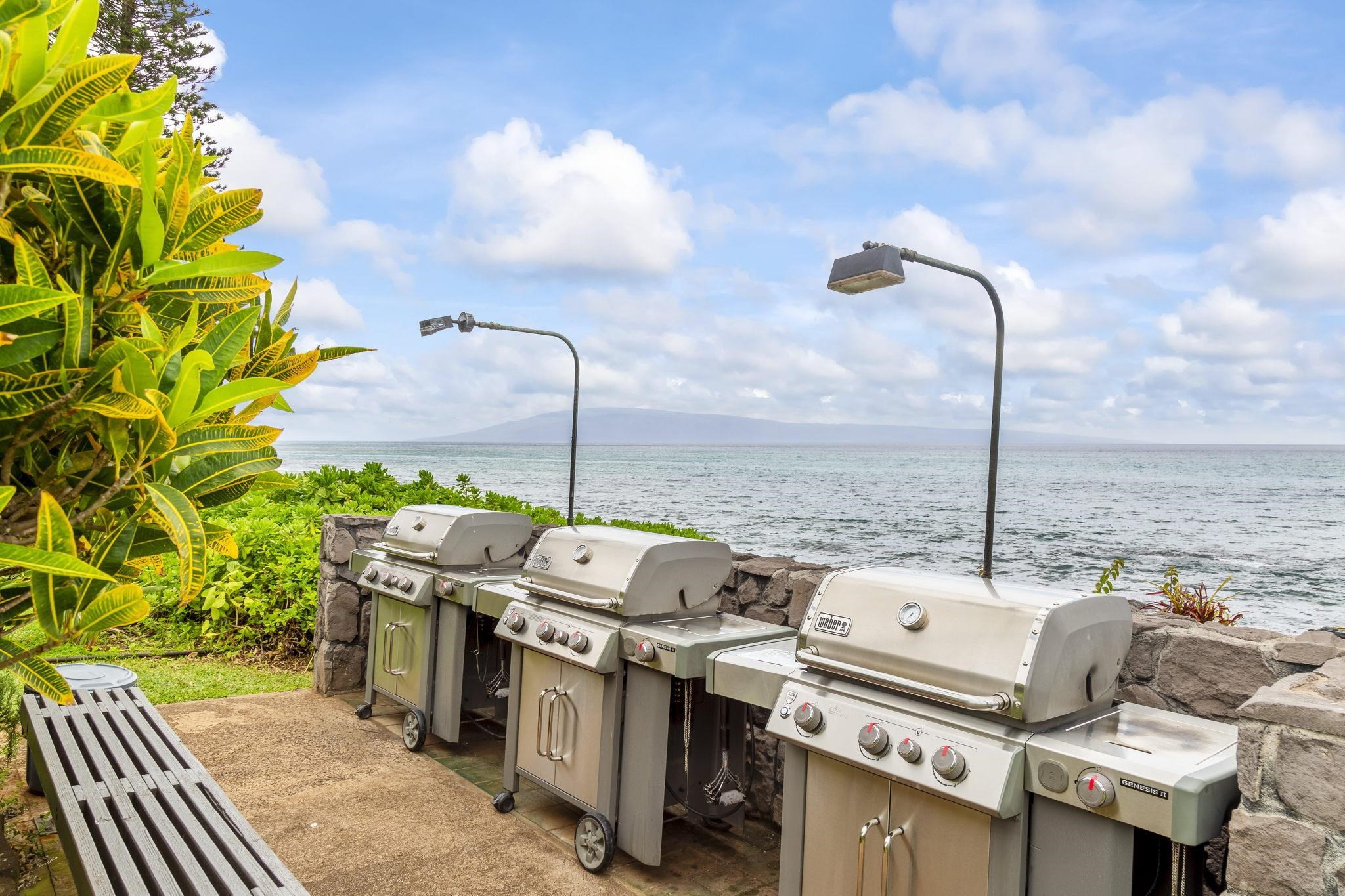 4057 Lower Honoapiilani Road, Unit 106 Lahaina, HI 96761 - Photo 27 of 27 Gallery Image 27