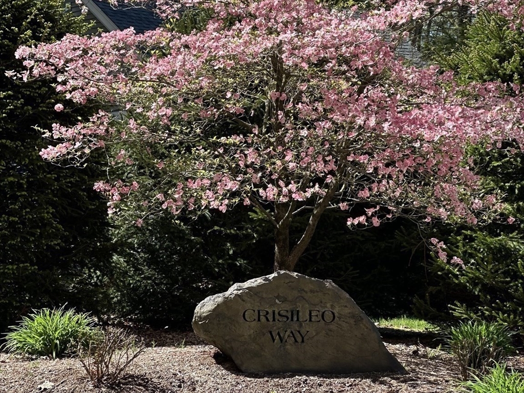 10 Crisileo Way Canton, MA 02021 - Photo 35 of 40