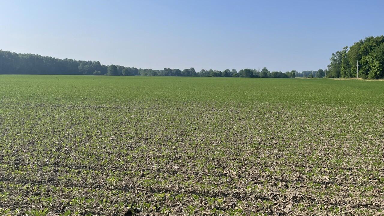20408 Delaware County Line Road Marysville, OH 43040 - Photo 2 of 8 Fieldview1.23.25