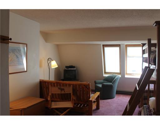 273 Skiway Road, Unit 3E Newry, ME 04261 - Photo 10 of 15 Other.