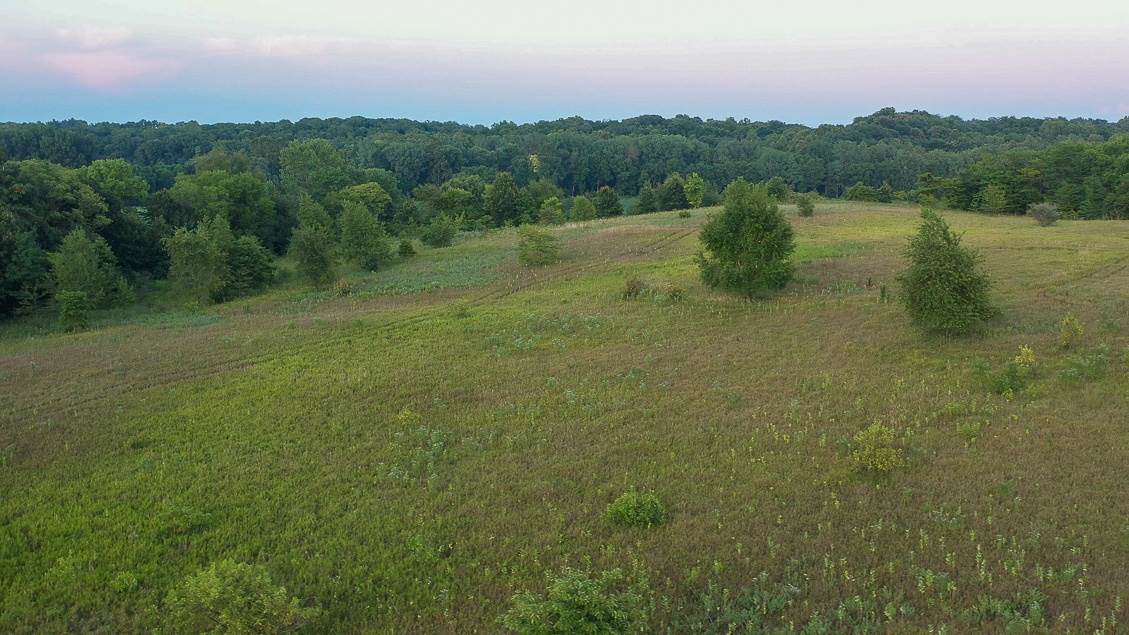 1 Conn Road Oakford, IL 62673 - Photo 15 of 17 Gallery Image 15