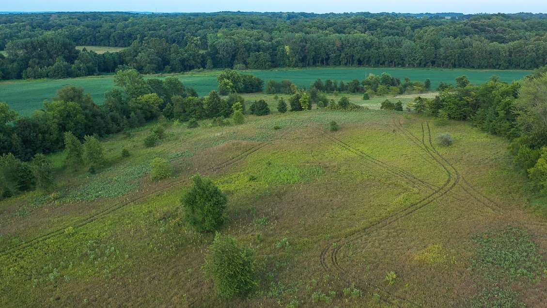 1 Conn Road Oakford, IL 62673 - Photo 7 of 17 Gallery Image 7