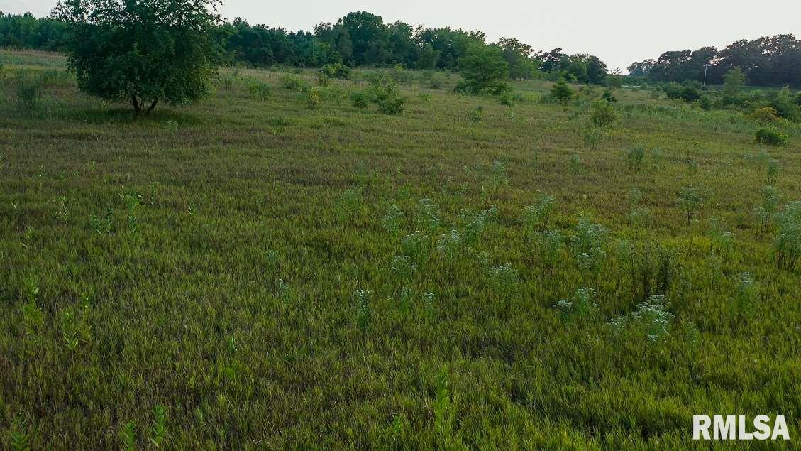 1 Conn Road Oakford, IL 62673 - Photo 10 of 17 Gallery Image 10