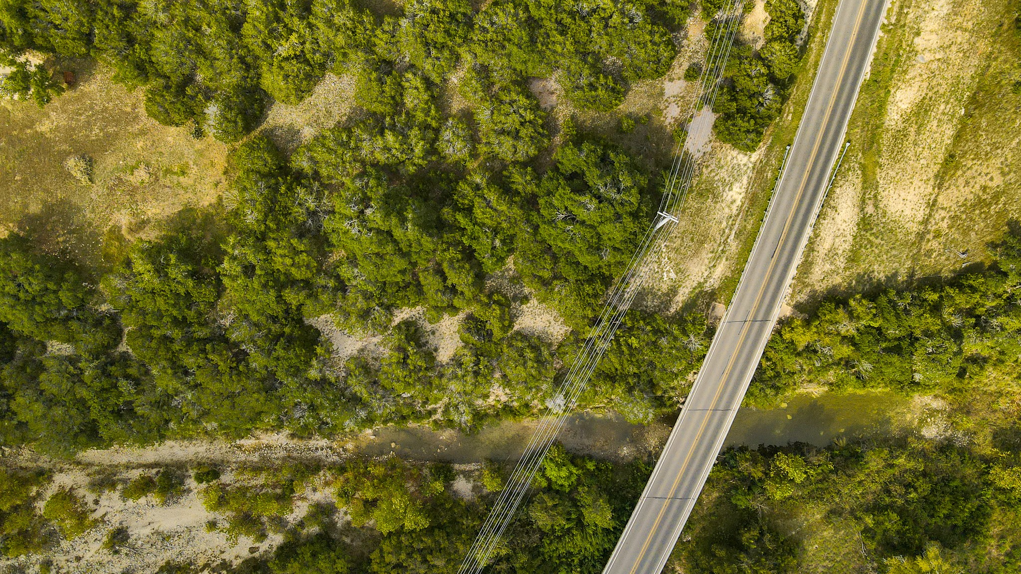 31171 Ranch Road 12 Dripping Springs, TX 78620 - Photo 13 of 21