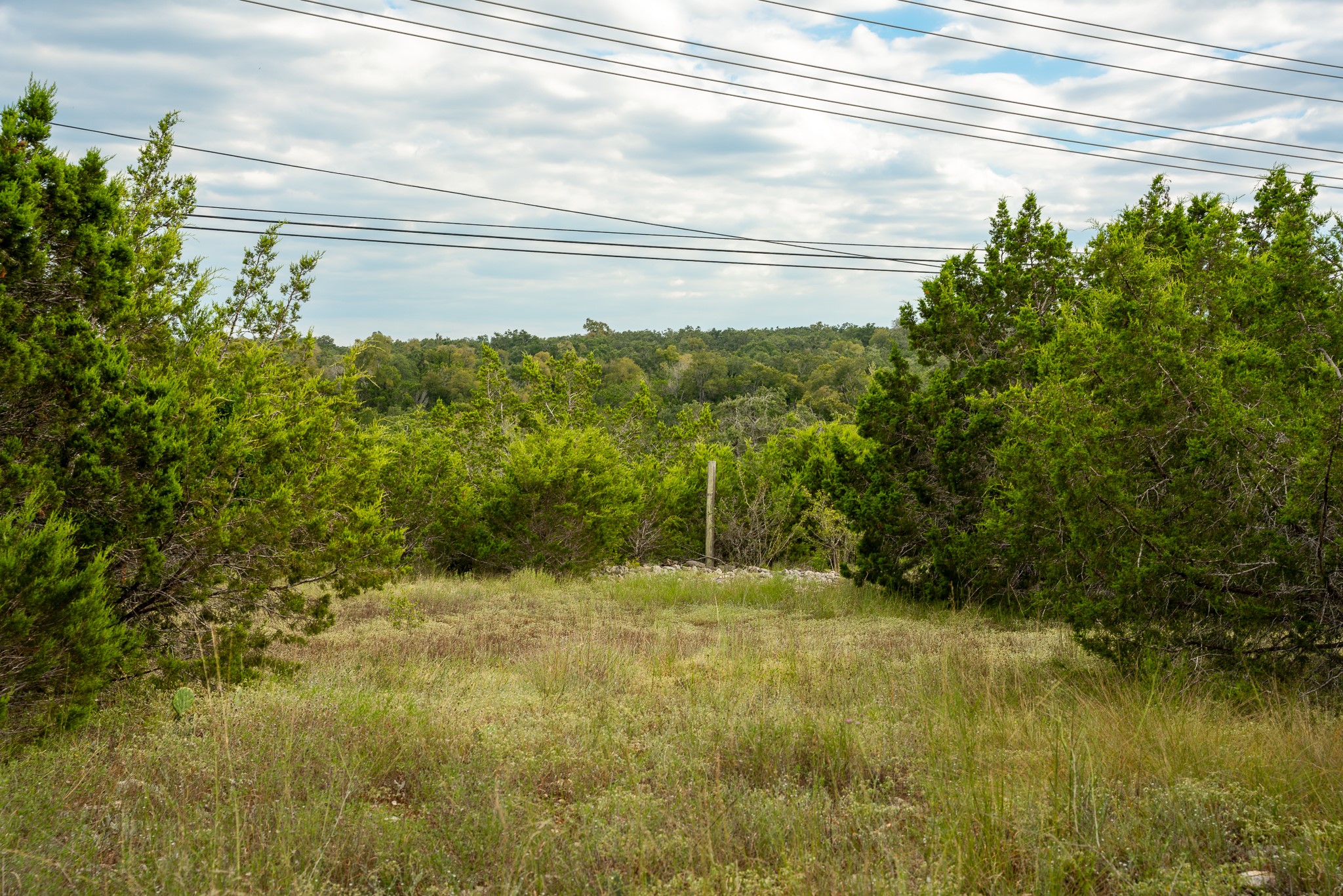 31171 Ranch Road 12 Dripping Springs, TX 78620 - Photo 19 of 21 a view of a yard with an outdoor space