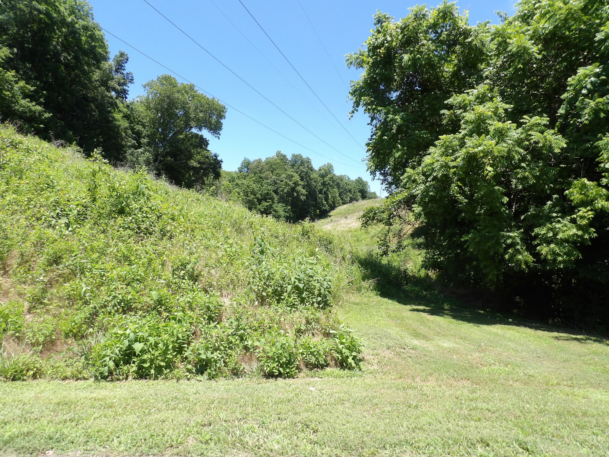 587 West Little Richland Road Waverly, TN 37185 - Photo 7 of 26
