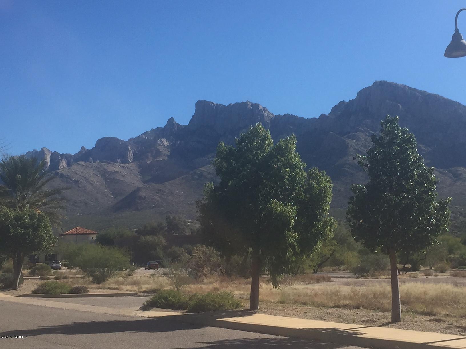 Lot 7 Mercado Del Rio, Unit 7 Tucson, AZ 85737 - Photo 4 of 6