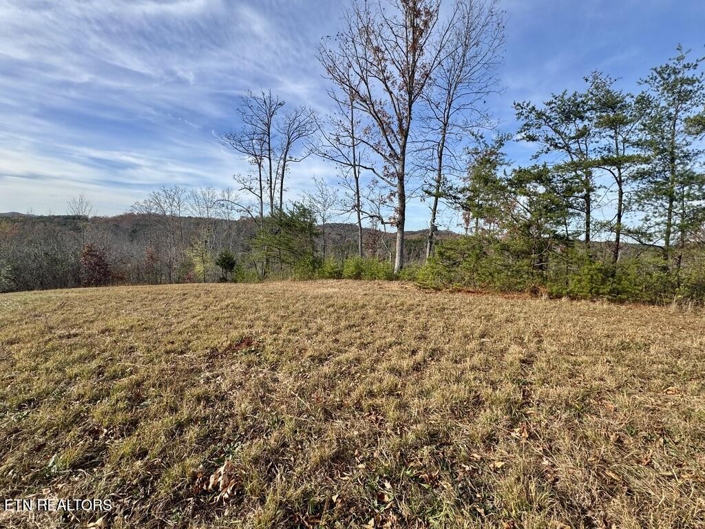 1 Three Point Road Vonore, TN 37885 - Photo 11 of 15 Gallery Image 11
