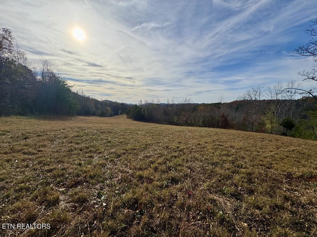 1 Three Point Road Vonore, TN 37885 - Photo 12 of 15 Gallery Image 12