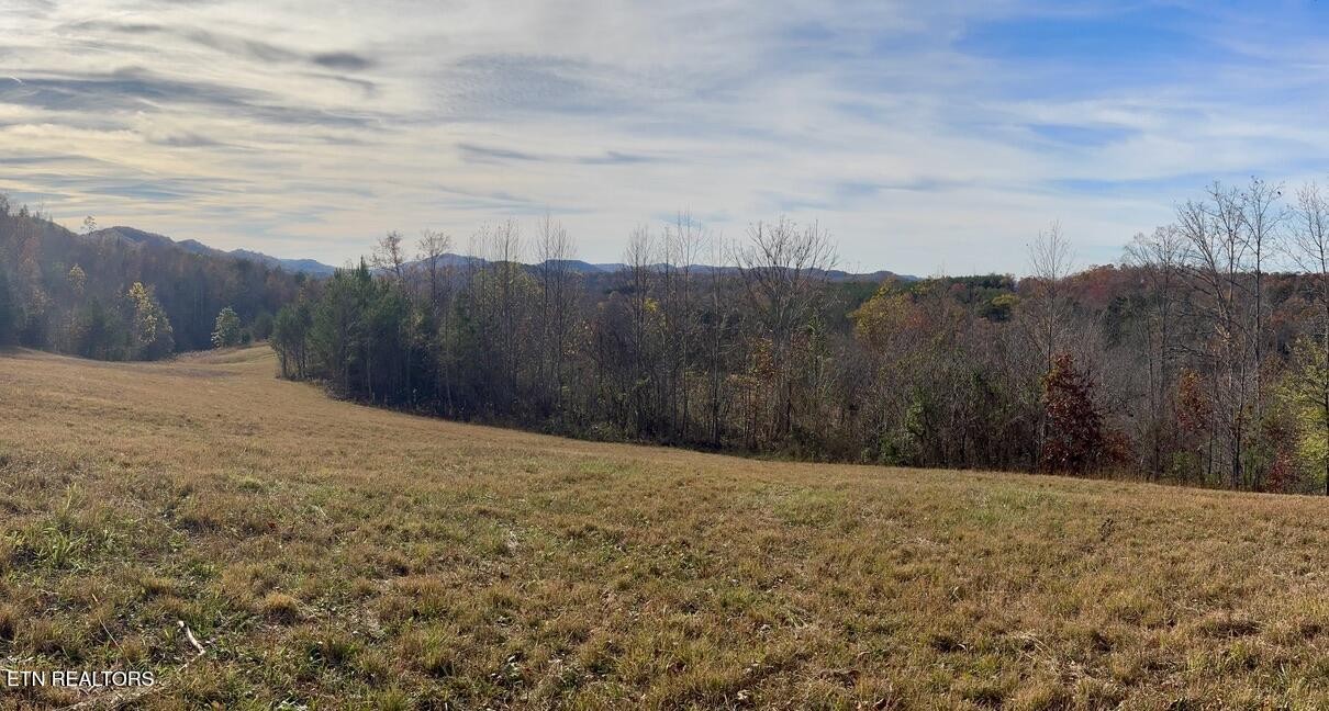 1 Three Point Road Vonore, TN 37885 - Photo 13 of 15 Gallery Image 13