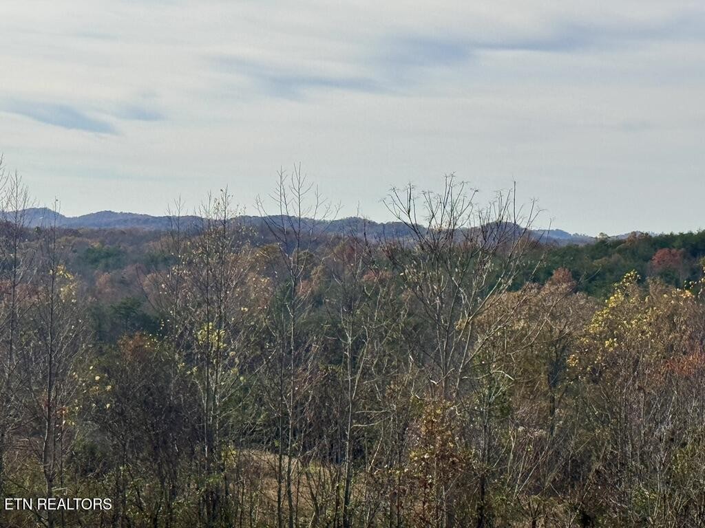 1 Three Point Road Vonore, TN 37885 - Photo 8 of 15 Gallery Image 8