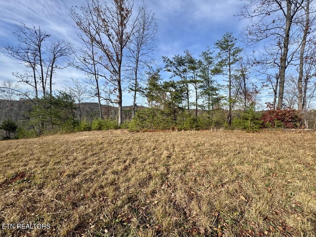 1 Three Point Road Vonore, TN 37885 - Photo 10 of 15 Gallery Image 10