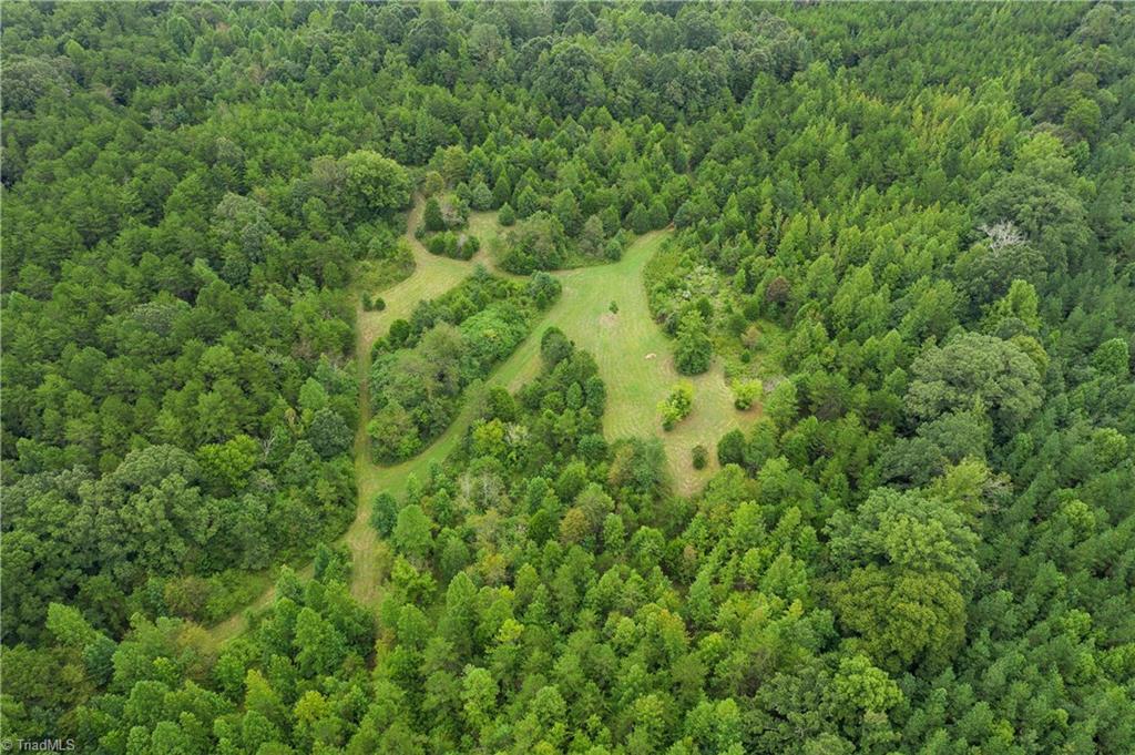 0 Giles Road Lexington, NC 27295 - Photo 14 of 21 2nd cleared area of property. Opposite side of pipeline