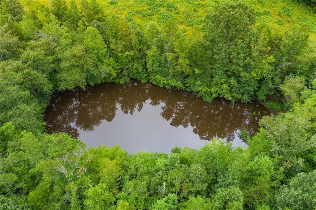 0 Giles Road Lexington, NC 27295 - Photo 17 of 21 Pond