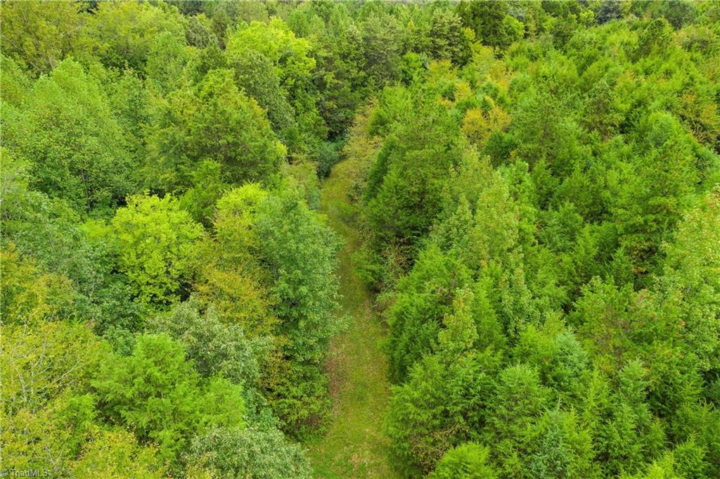 0 Giles Road Lexington, NC 27295 - Photo 19 of 21 one of many trails throughout property
