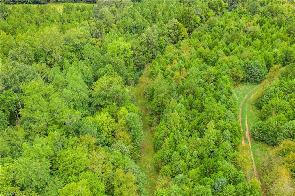 0 Giles Road Lexington, NC 27295 - Photo 21 of 21 View of 2 of trails