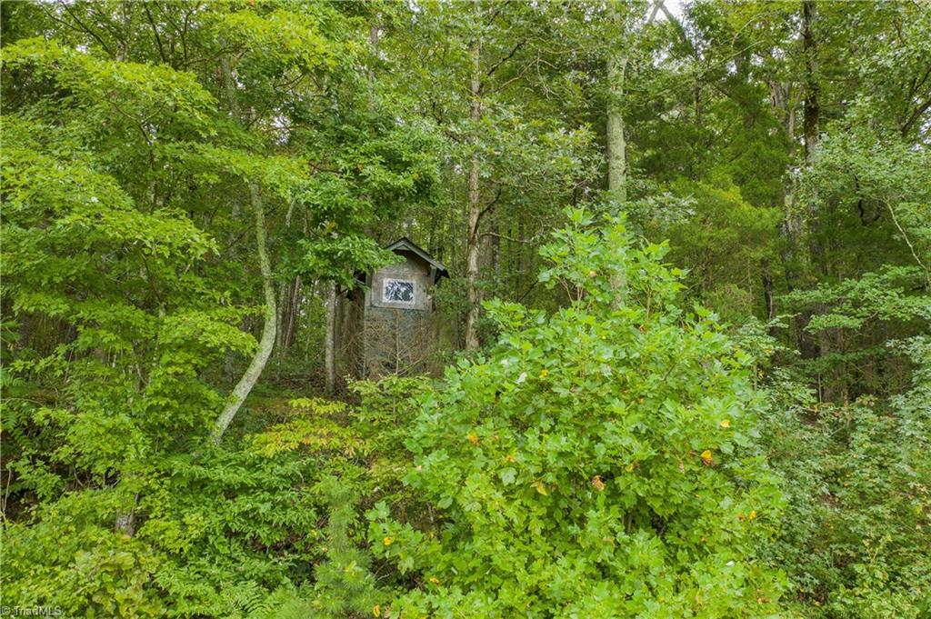 0 Giles Road Lexington, NC 27295 - Photo 5 of 21 1 of several deer stands