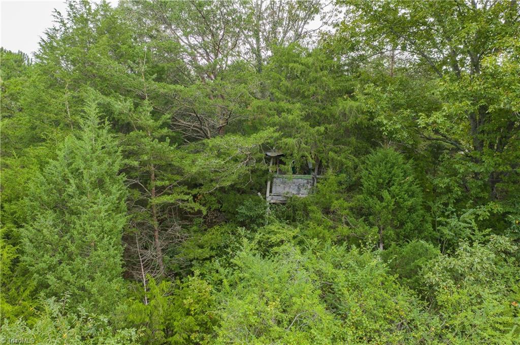 0 Giles Road Lexington, NC 27295 - Photo 6 of 21 1 of several deer stands