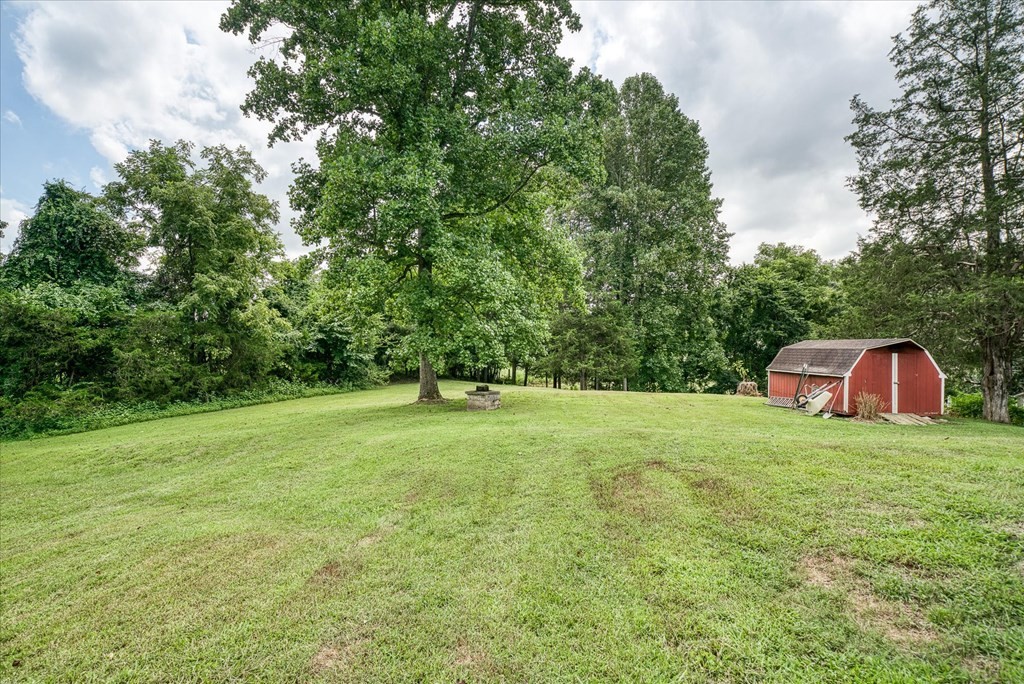 3766 Old Bridge Road Cookeville, TN 38506 - Photo 65 of 88 a backyard of a house with trees and plants