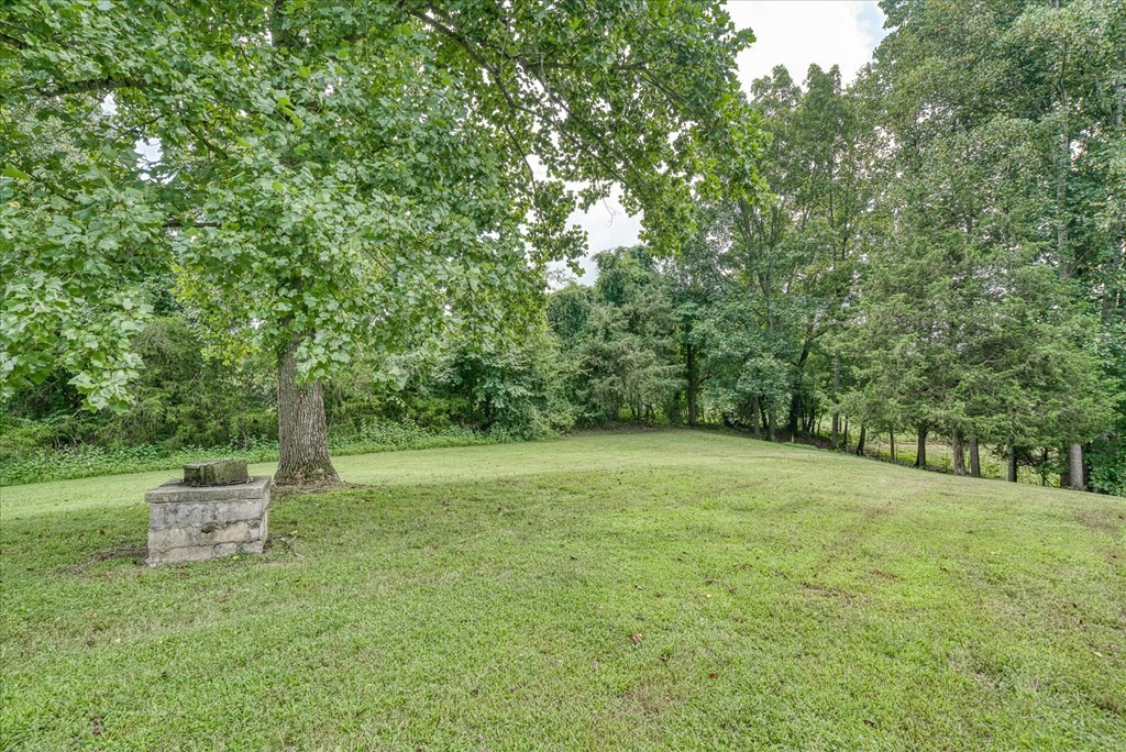 3766 Old Bridge Road Cookeville, TN 38506 - Photo 68 of 88 a backyard of a house with fountain table and chairs