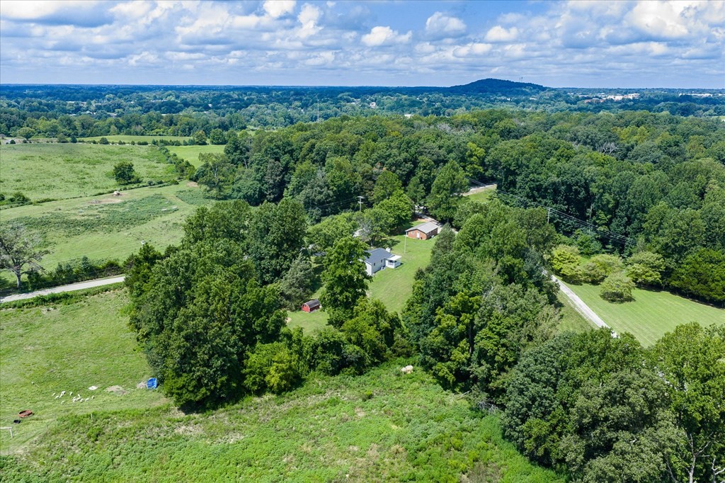 3766 Old Bridge Road Cookeville, TN 38506 - Photo 73 of 88 a view of a lush green outdoor space with a lake view and mountain view