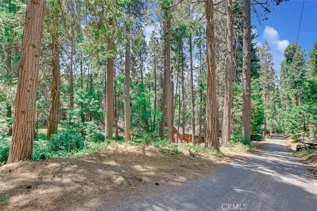 a view of a road with trees in front of it
