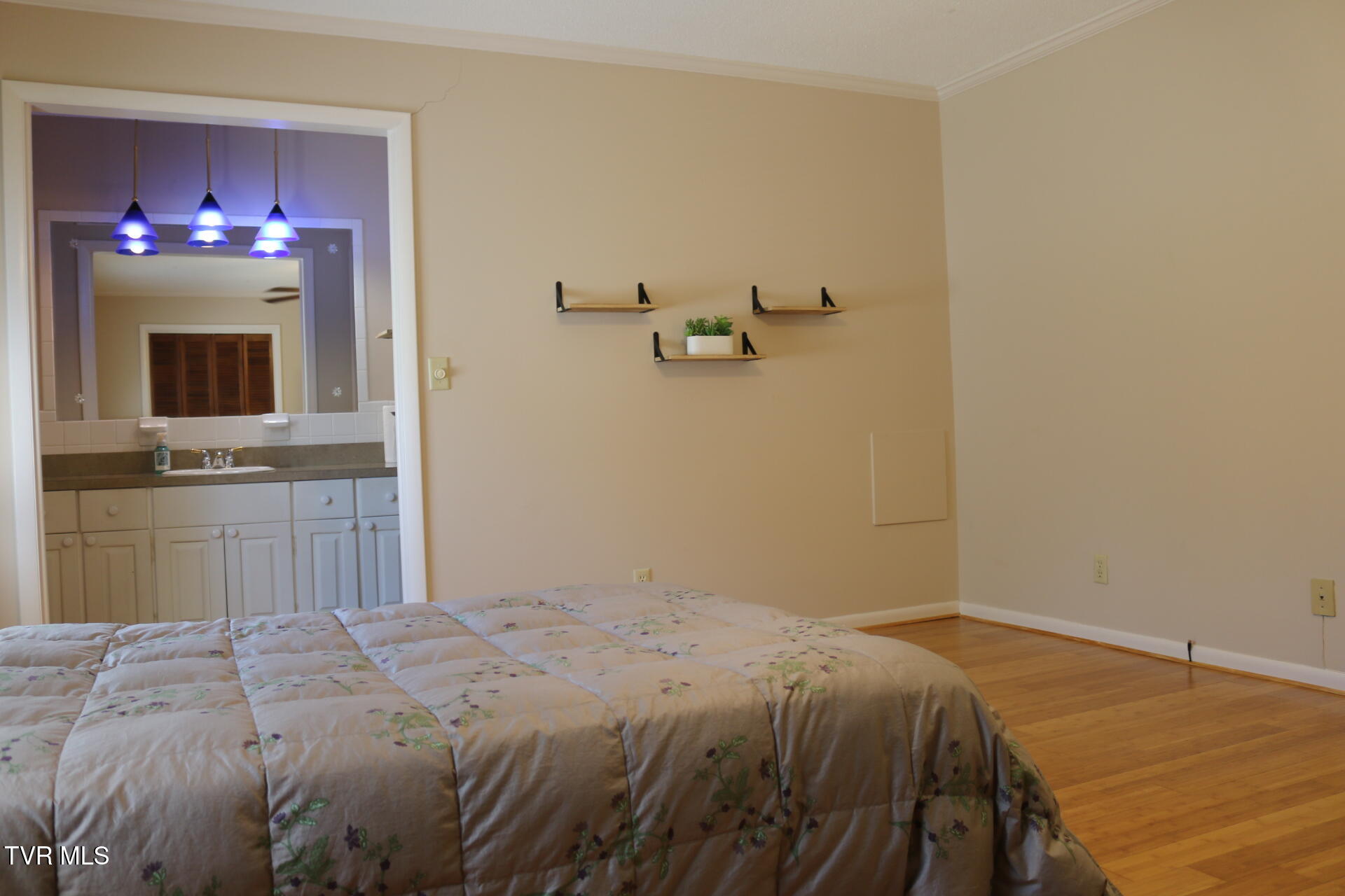 2121 Hickory Springs Road, Unit 2121 Johnson City, TN 37604 - Photo 32 of 51 Primary Bedroom