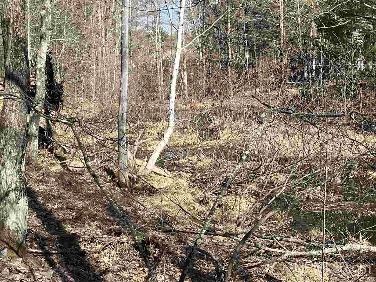 70 Old Highway 70 Road Minocqua, WI 54548 - Photo 4 of 11