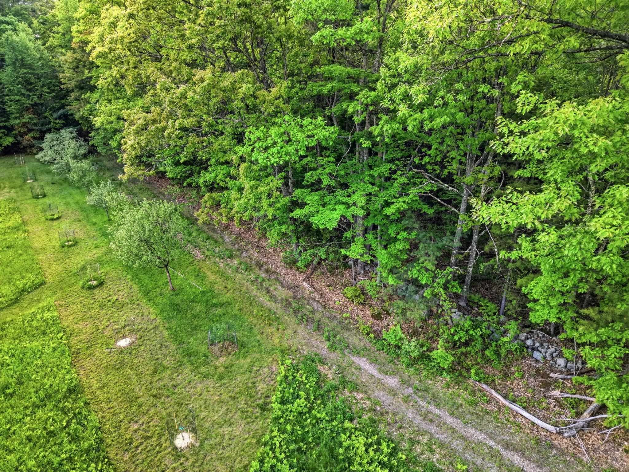 91 Wolf Hill Road Deering, NH 03244 - Photo 15 of 24