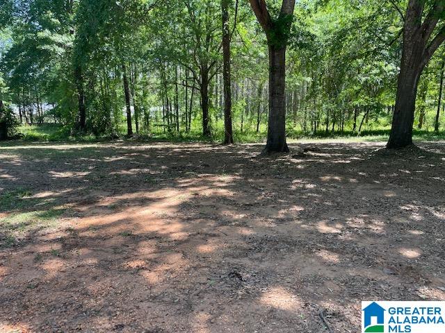 32 Pecan Road Plantersville, AL 36758 - Photo 7 of 38