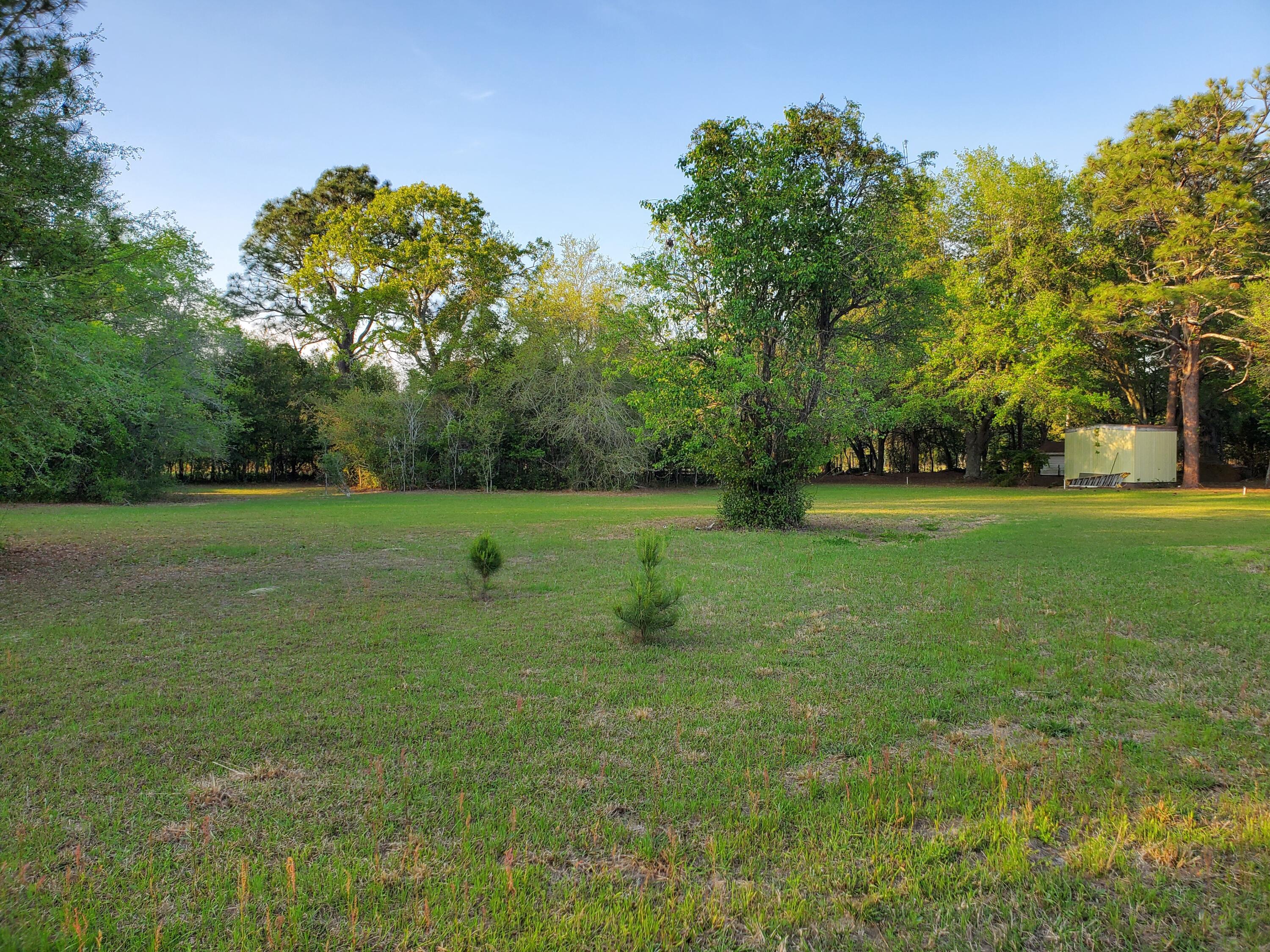 2481 Piper Road Aiken, SC 29805 - Photo 11 of 33