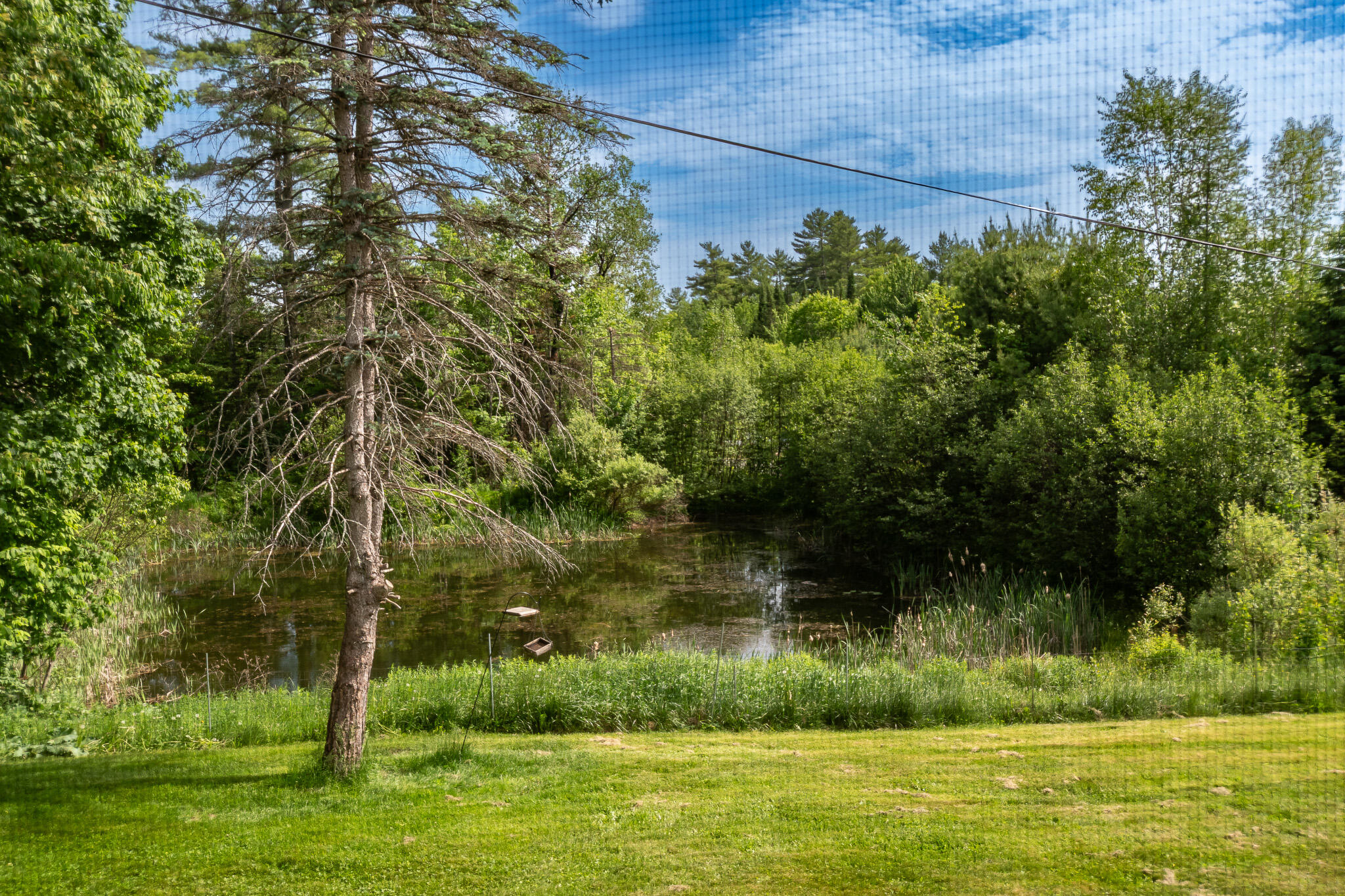 26 Chadbourne Road Harmony, ME 04942 - Photo 84 of 84 DSC_0759