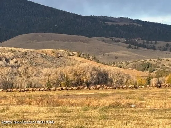 $560,000 | Lot 4 Bald Mountain Road, Dubois, WY 82513