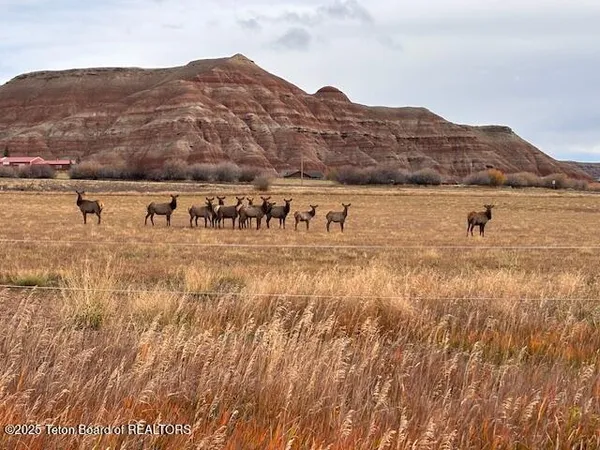 $560,000 | Lot 4 Bald Mountain Road, Dubois, WY 82513