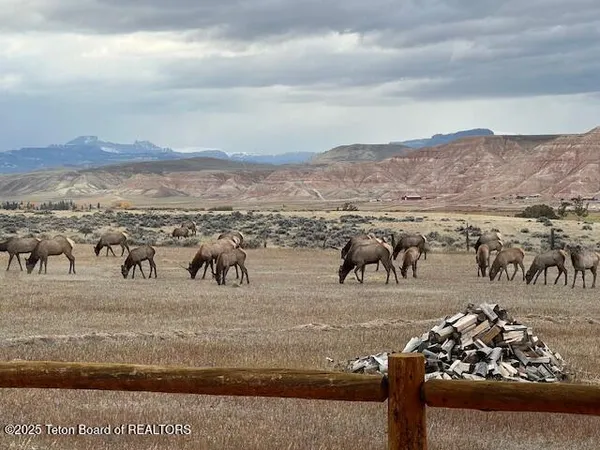 $560,000 | Lot 4 Bald Mountain Road, Dubois, WY 82513