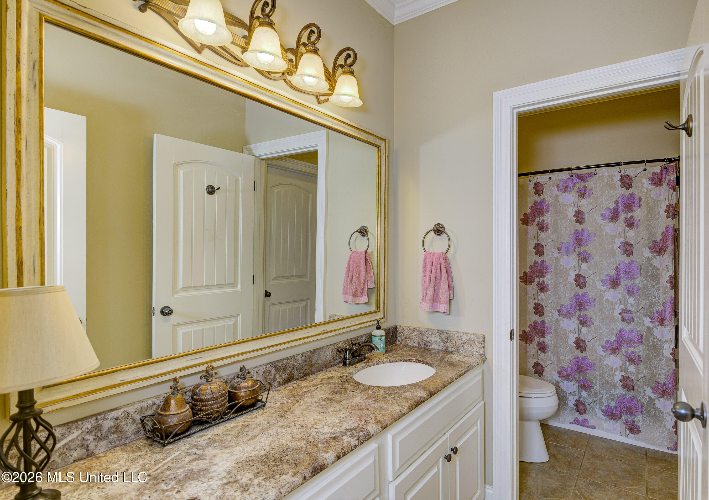 219 Madison Ridge Road Vicksburg, MS 39180 - Photo 14 of 29 Second Bathroom 1