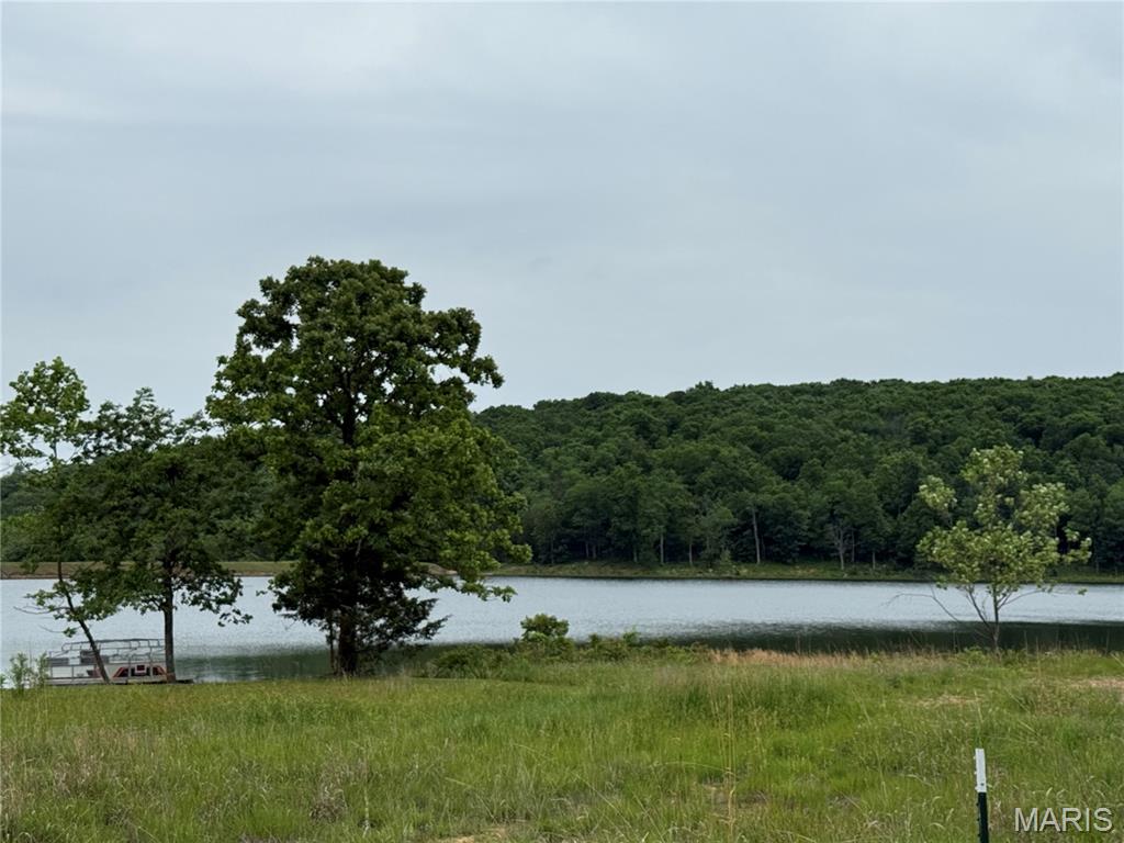 0 Lot 84 Mallard Road Middle Brook, MO 63656 - Photo 10 of 11