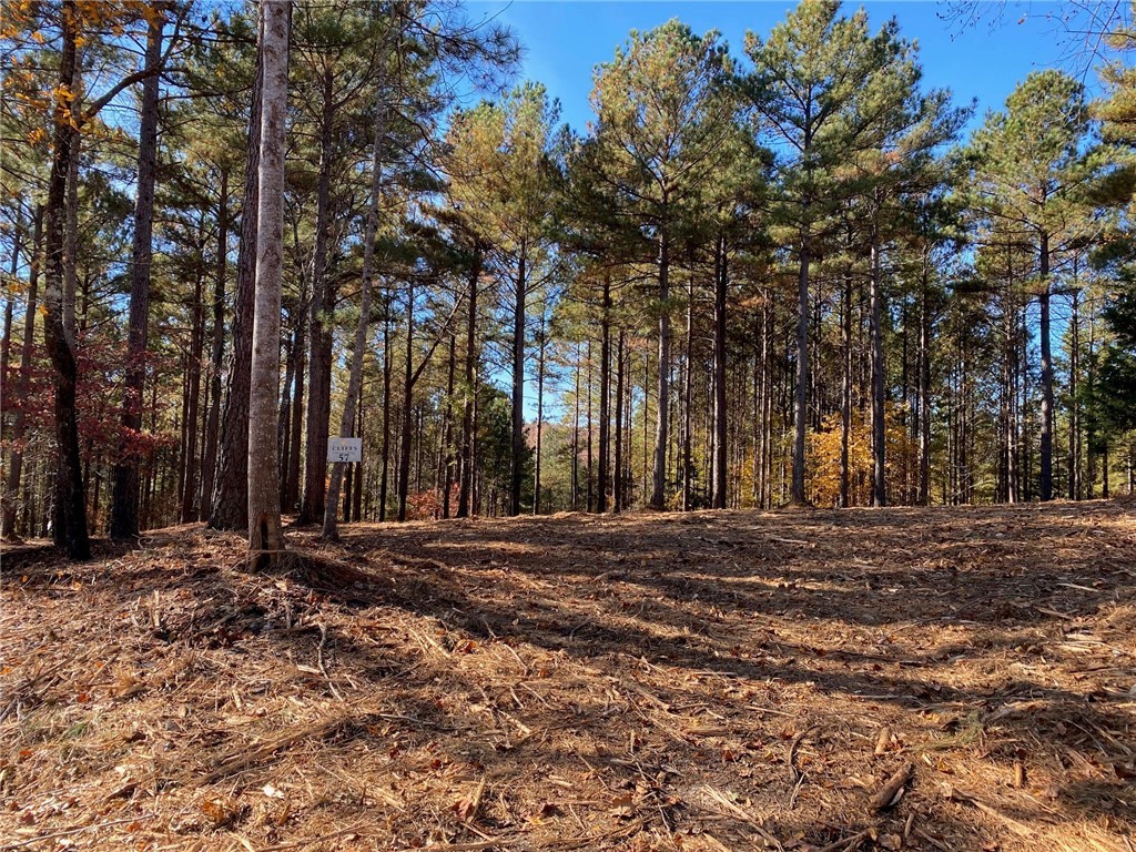 Lot 57 Spring Cove Way Six Mile, SC 29682 - Photo 1 of 4 Gallery Image 1