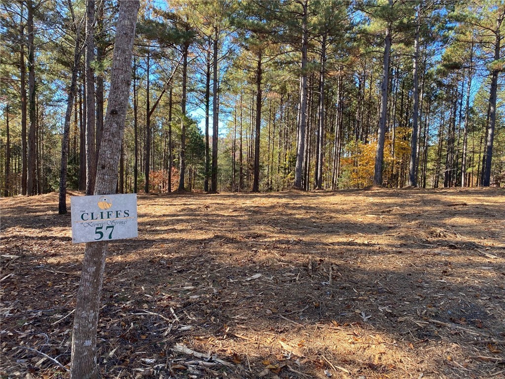 Lot 57 Spring Cove Way Six Mile, SC 29682 - Photo 2 of 4 Gallery Image 2