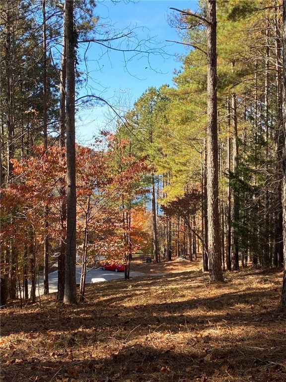 Lot 57 Spring Cove Way Six Mile, SC 29682 - Photo 3 of 4 Gallery Image 3
