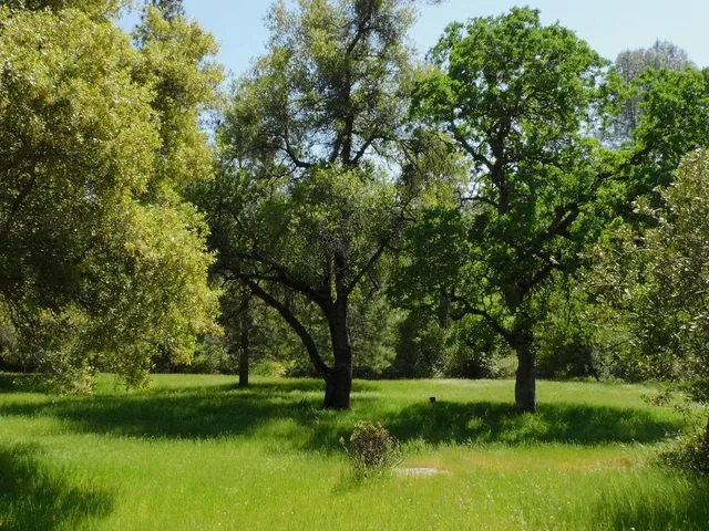 a bedroom with a bed wooden floor and a large window