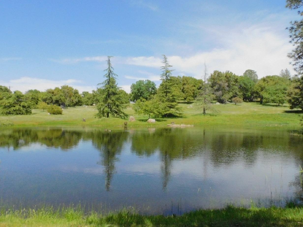 5383 Dream Ranch Circle Placerville, CA 95667 - Photo 21 of 91 a view of a lake with a yard and large trees