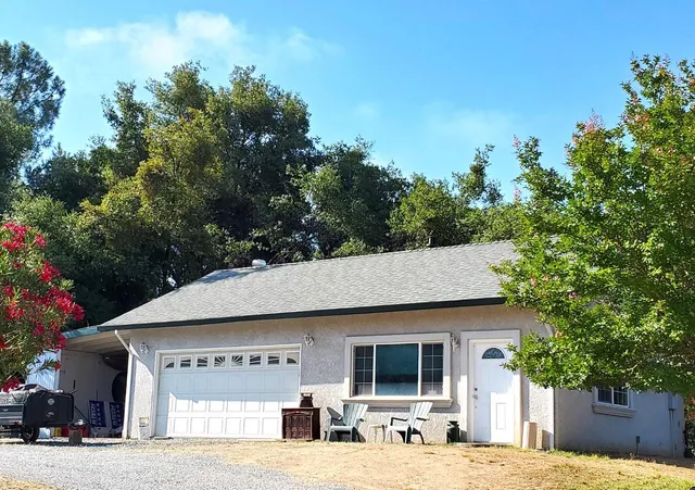 a view of field with tall trees