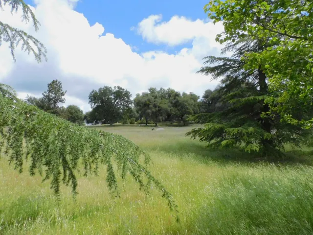 a view of a lake with a yard