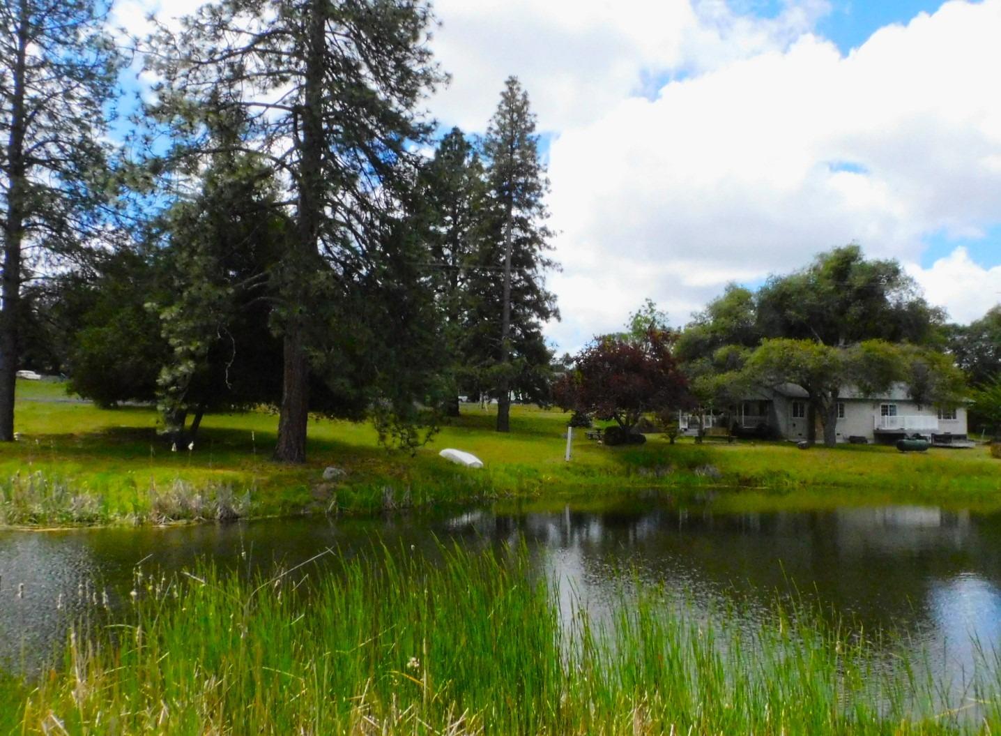 5383 Dream Ranch Circle Placerville, CA 95667 - Photo 51 of 91 a view of a lake with a yard and large trees